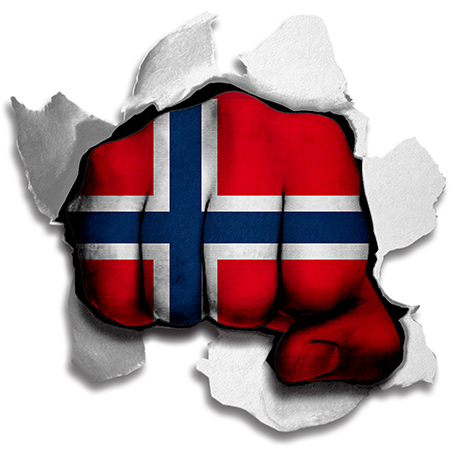 Fist Norwayc Flag Logo vinyl decal